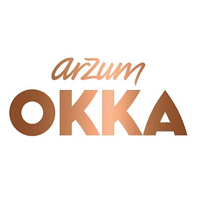 Arzum Logo Arzum in the US